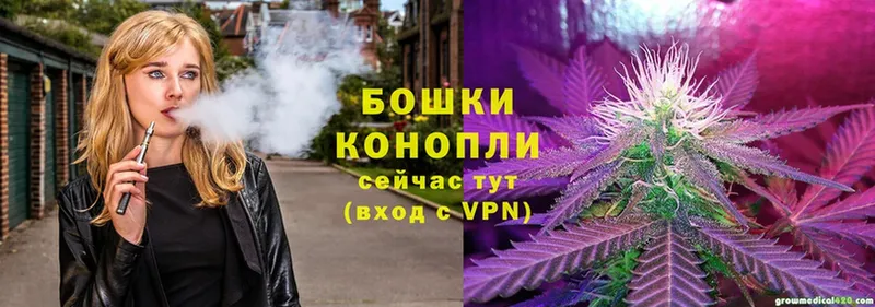 Конопля THC 21%  Сортавала 